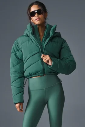 Chaqueta acolchada Glacier - Hiedra de invierno