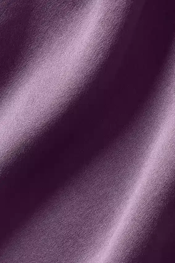 Camisa corta de seda luminosa con botones y manga larga - Plum Kiss