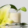 Vela Alo Love - 8 oz
